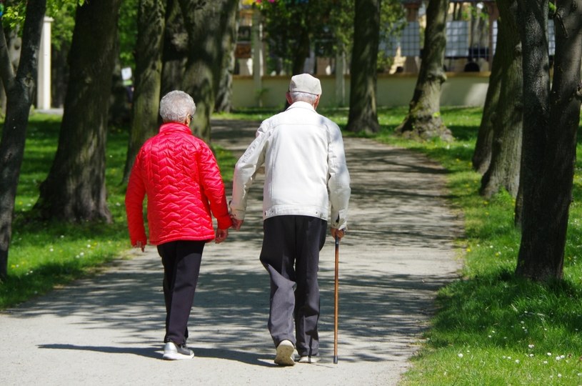 Emeryci dochodzą swoich praw - Skarbiec państwa stracił 1,5 mld zł na martwych polisach