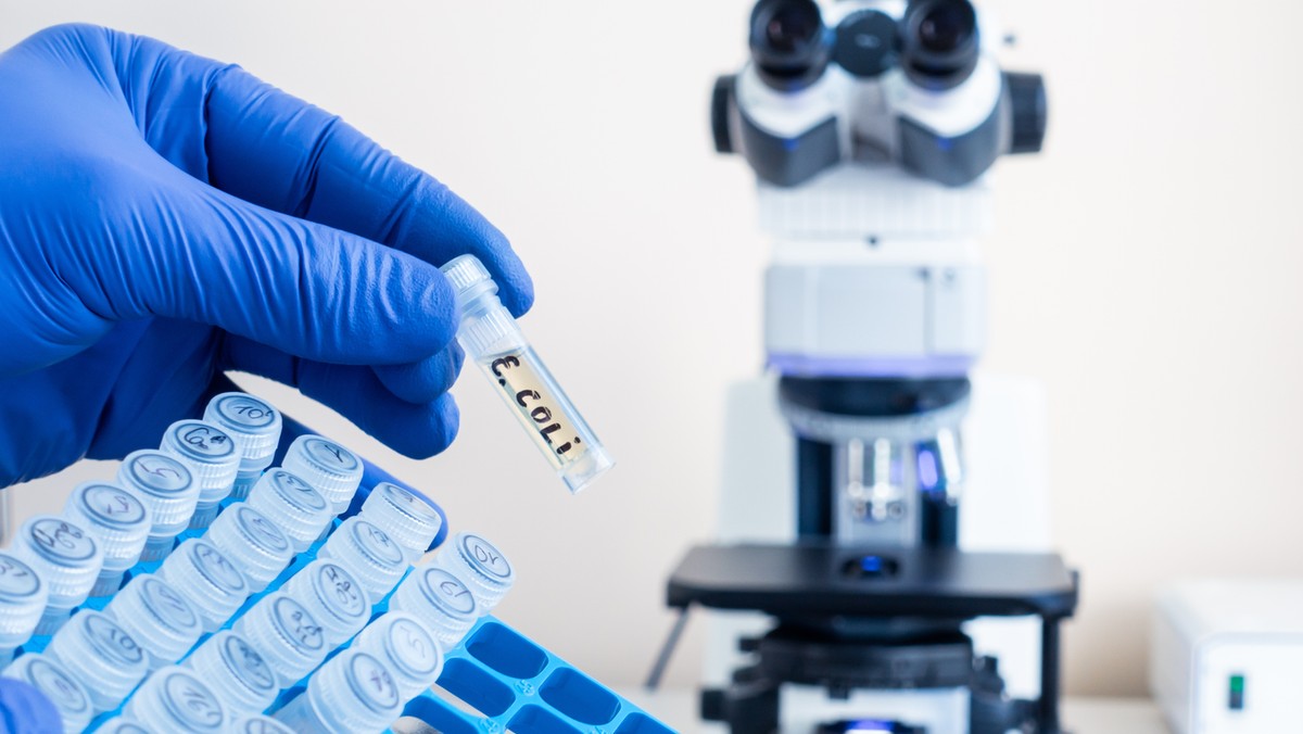 Alarm zdrowotny w USA: ogórki z Meksyku mogą wywołać epidemię.