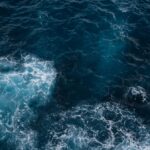Ostrzeżenie naukowców: neurotoksyny zagrażają oceanom – wyniki najnowszych badań