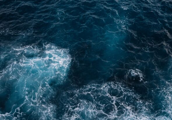 Ostrzeżenie naukowców: neurotoksyny zagrażają oceanom – wyniki najnowszych badań