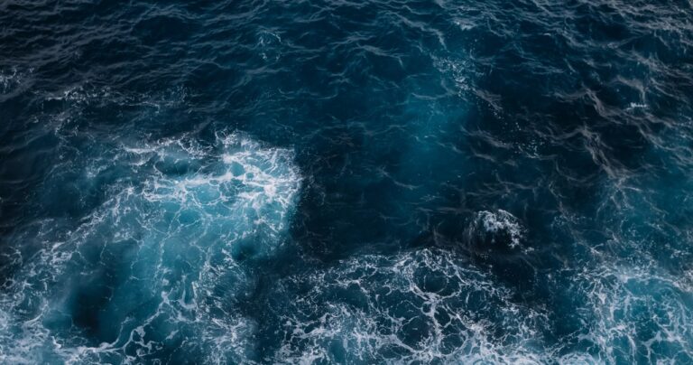 Ostrzeżenie naukowców: neurotoksyny zagrażają oceanom – wyniki najnowszych badań