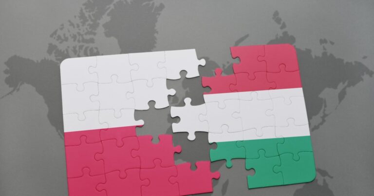 Oskarżenia węgierskiego MSZ: Czy Tusk wspiera terrorystów?