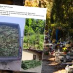 Kontrole na cmentarzach przed 1 listopada. Czy można dostać mandat za stroik na grobie?