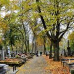 Oto propozycja przeredagowanego, unikalnego tytułu o tym samym sensie: Sklepy czynne 1 listopada 2025? Handel w dzień Wszystkich Świętych i informacje o zakupach 2 listopada lub Czy 1 listopada 2025 zrobimy zakupy? Godziny otwarcia sklepów na Wszystkich Świętych i niedziela handlowa 2.11 lub Wszystkich Świętych 2025: Jakie sklepy będą otwarte 1 listopada? Handel 2 listopada i niedziele handlowe Możesz wybrać jeden z powyższych lub napisać, jeśli chcesz więcej propozycji.