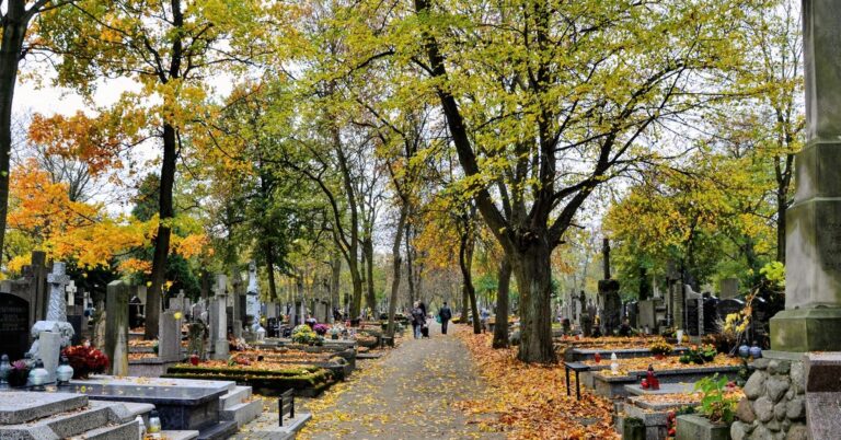 Oto propozycja przeredagowanego, unikalnego tytułu o tym samym sensie: Sklepy czynne 1 listopada 2025? Handel w dzień Wszystkich Świętych i informacje o zakupach 2 listopada lub Czy 1 listopada 2025 zrobimy zakupy? Godziny otwarcia sklepów na Wszystkich Świętych i niedziela handlowa 2.11 lub Wszystkich Świętych 2025: Jakie sklepy będą otwarte 1 listopada? Handel 2 listopada i niedziele handlowe Możesz wybrać jeden z powyższych lub napisać, jeśli chcesz więcej propozycji.