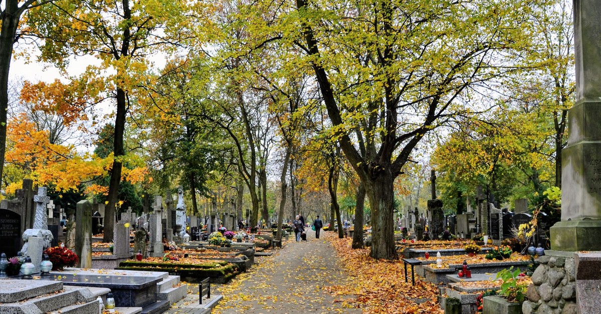 Oto propozycja przeredagowanego, unikalnego tytułu o tym samym sensie: Sklepy czynne 1 listopada 2025? Handel w dzień Wszystkich Świętych i informacje o zakupach 2 listopada lub Czy 1 listopada 2025 zrobimy zakupy? Godziny otwarcia sklepów na Wszystkich Świętych i niedziela handlowa 2.11 lub Wszystkich Świętych 2025: Jakie sklepy będą otwarte 1 listopada? Handel 2 listopada i niedziele handlowe Możesz wybrać jeden z powyższych lub napisać, jeśli chcesz więcej propozycji.