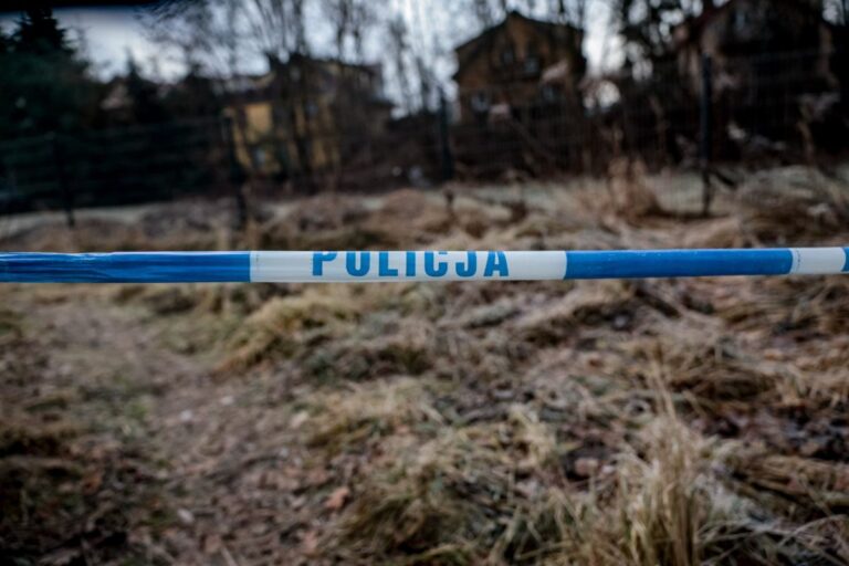Śmierć 11-latki z Jeleniej Góry na oczach rówieśników? Wstrząsające świadectwa: "Popchnęła Danusię"